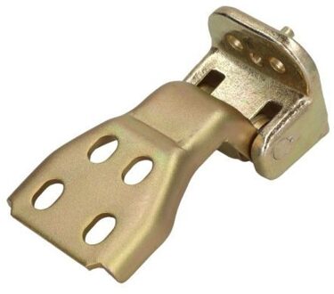 Ford Deurscharnier 6004002518243P