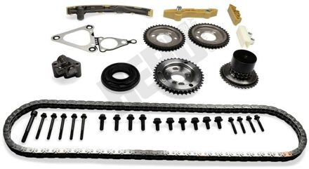 Ford Distributiekettingset 210673