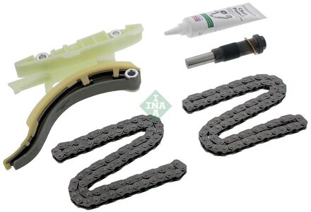 Ford Distributiekettingset 559100920