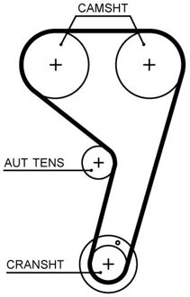 Ford Distributieriem T354HOB