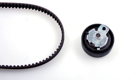 Ford Distributieriemset 201319