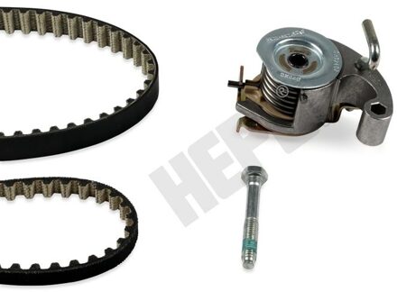 Ford Distributieriemset 202180