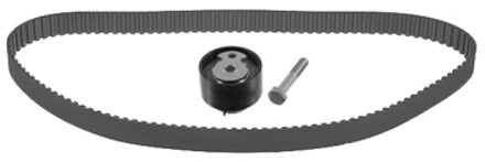 Ford Distributieriemset 21902