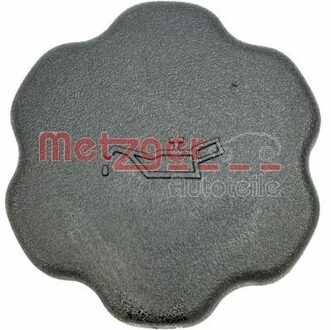 Ford Dop,olievulopening 2141011