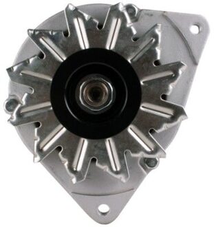 Ford Dynamo Ford 14V 55A 8EL012428881