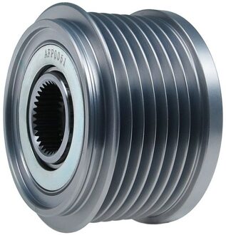 Ford Dynamovrijloop AFP0051