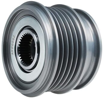 Ford Dynamovrijloop AFP0052