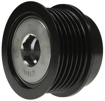 Ford Dynamovrijloop AFP3067LITENS