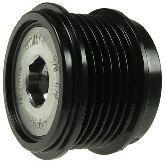 Ford Dynamovrijloop AFP9025LITENS