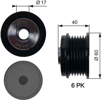 Ford Dynamovrijloop DriveAlign® OAP7154