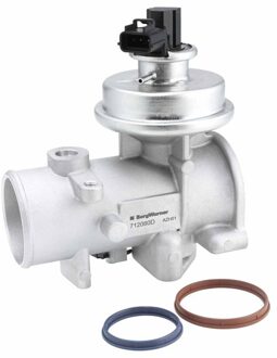 Ford EGR-klep 712080D