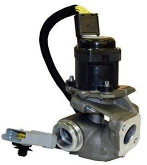 Ford EGR-klep EV030