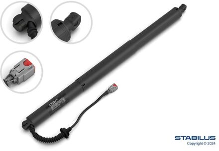 Ford Elektrische Gasveer, achterklep 458698