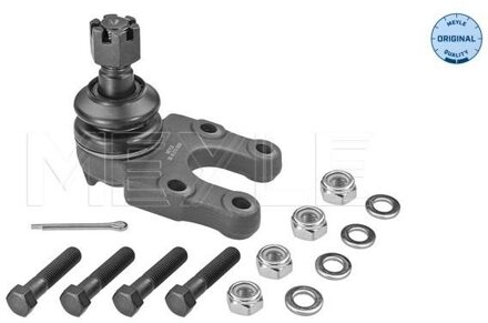 Ford Fuseekogel 36160100050