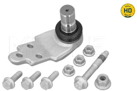 Ford Fuseekogel 7160100036HD