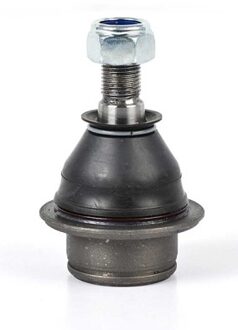 Ford Fuseekogel BSG30310091