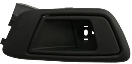 Ford Handgreep, interieur 6010030378408TP