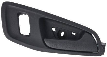 Ford Handgreep, interieur 6010030432408P
