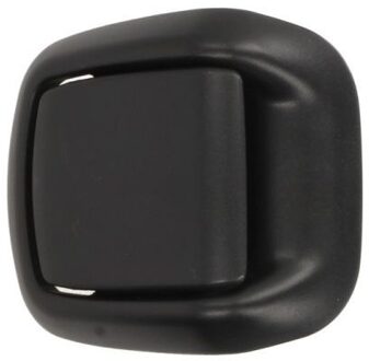Ford Handgreep, interieur 601003046408C