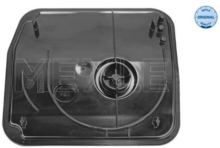 Ford Hydraulische filter, automatische transmissie 7141360003