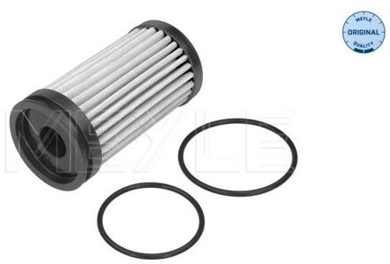 Ford Hydraulische filter, automatische transmissie 7141360004