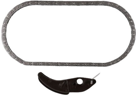 Ford Kettingset, oliepompaandrijving 210506