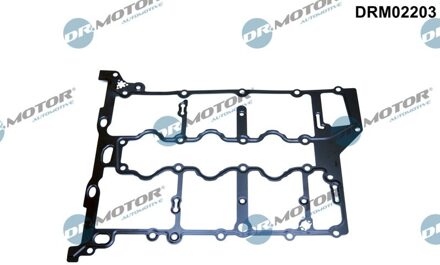 Ford Klepdekselpakking DRM02203