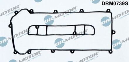 Ford Klepdekselpakking DRM0739S