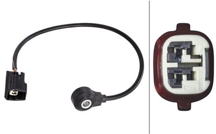 Ford Klopsensor 6PG009108731