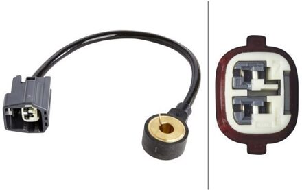 Ford Klopsensor 6PG009108741