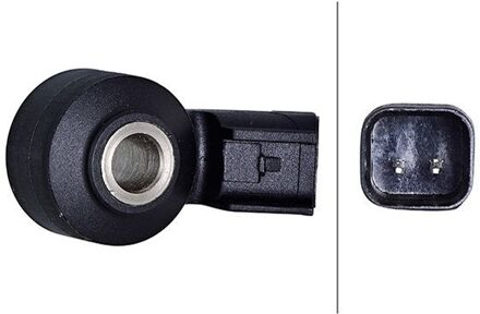 Ford Klopsensor 6PG013114321