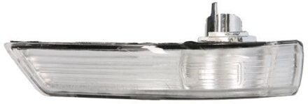Ford Knipperlicht 540301713861