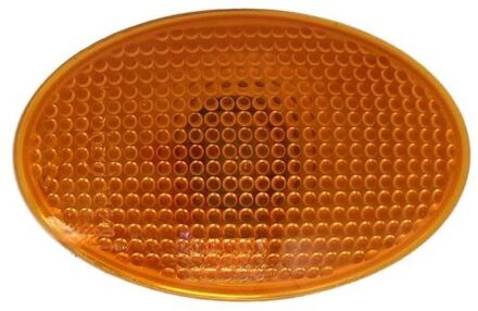 Ford Knipperlicht 5403030427100P