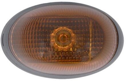 Ford Knipperlicht 5403030427105YP