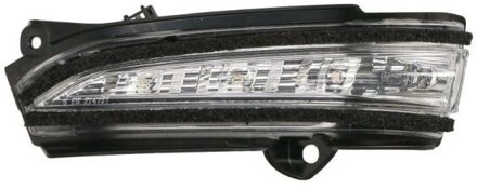 Ford Knipperlicht 540303043105