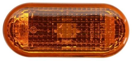 Ford Knipperlicht 540305312843P