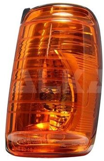 Ford Knipperlicht 6203666