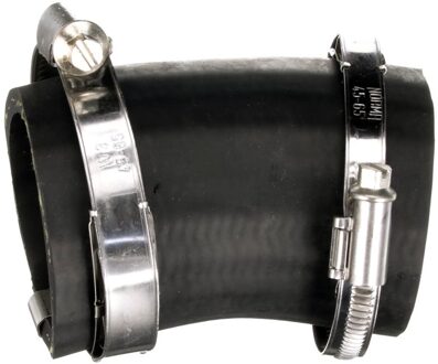 Ford Laadluchtslang 091541