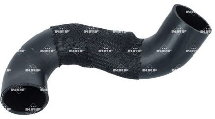 Ford Laadluchtslang 166307