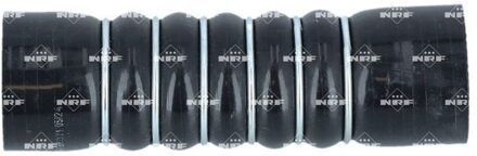 Ford Laadluchtslang 166371