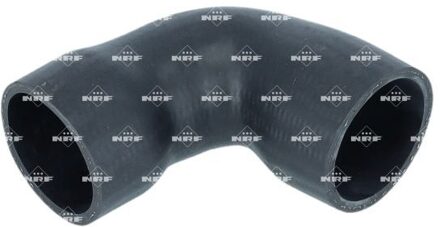 Ford Laadluchtslang 166386