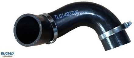 Ford Laadluchtslang 82208