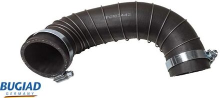 Ford Laadluchtslang 82442