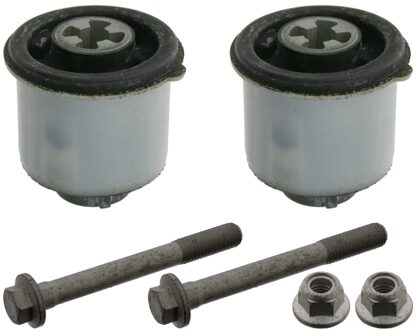 Ford Lagerset, aslichaam