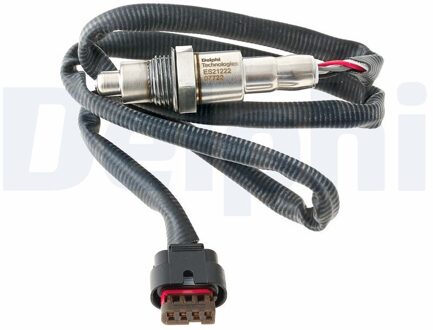 Ford Lambdasonde ES2122212B1