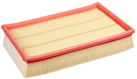 Ford Luchtfilter 33819