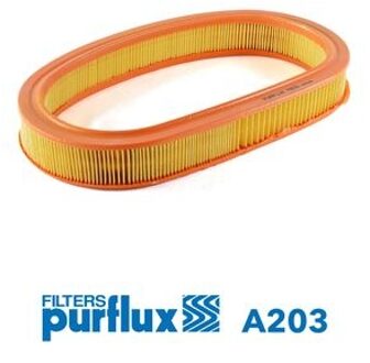 Ford Luchtfilter A203