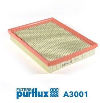 Ford Luchtfilter A3001