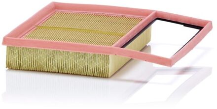 Ford Luchtfilter C24013