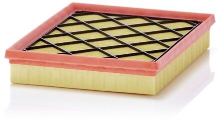 Ford Luchtfilter C27031